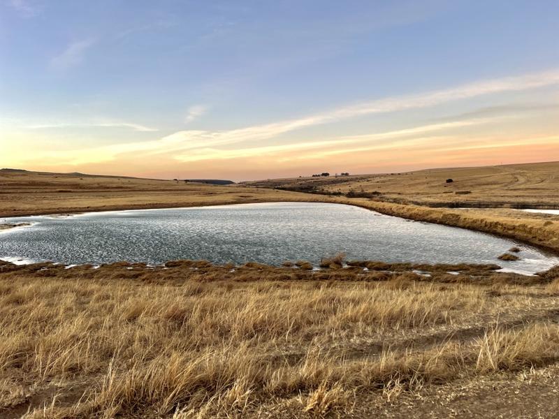 0 Bedroom Property for Sale in Harrismith Free State